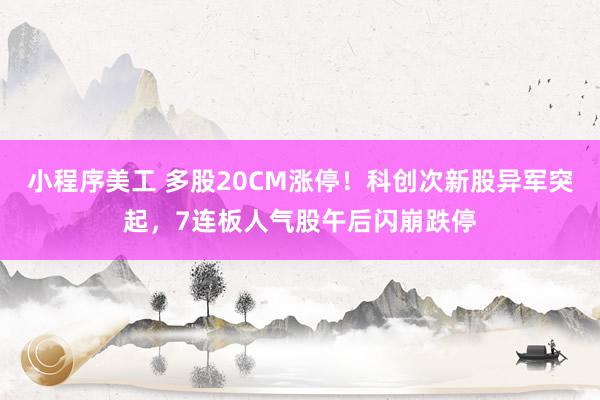 小程序美工 多股20CM涨停！科创次新股异军突起，7连板人气股午后闪崩跌停